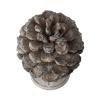 A & B Home 77341 10.6" W Gray and Light Brown Polyresin Indoor Pine Cone Statue, Table Dcor, Natural Design Sculpture, Grey view 3