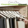 All Hung Up Hangers Wood Grain Premium Plastic Plastic Hanger with Clips - Space Saving Heavy Duty Non Slip Hangers (White, 24) view 3