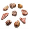 20PCS Leopardite Jasper Cabochon Pebbles Polished Natural Leopardskin Orbicular Orbs Quartz Crystal Mineral Stone Cabs - South Africa view 4