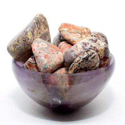 30PCS Leopardite Jasper Cabochon Pebbles Polished Natural Leopardskin Orbicular Orbs Quartz Crystal Mineral Stone Cabs - South Africa