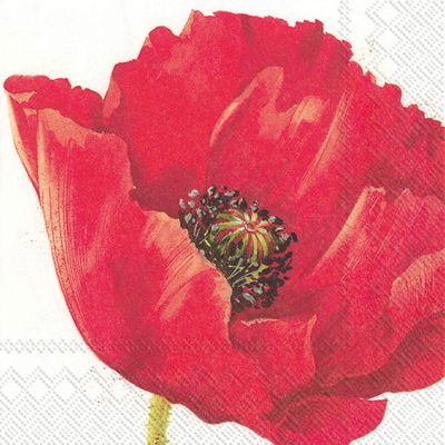 Boston International L844700 IHR 3-Ply Lunch Paper Napkins, 6.5 x 6.5-Inches, Mona