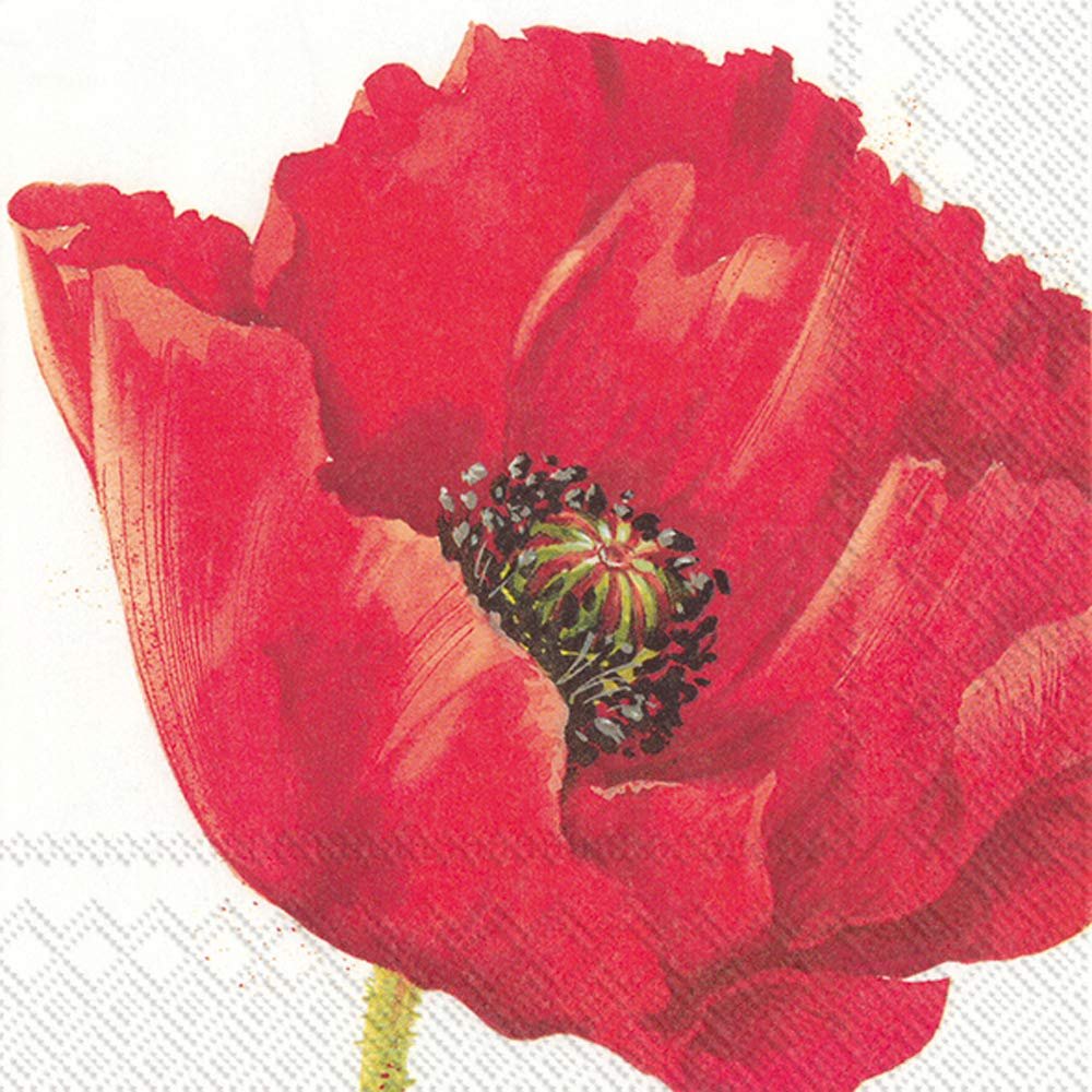 Boston International L844700 IHR 3-Ply Lunch Paper Napkins, 6.5 x 6.5-Inches, Mona
