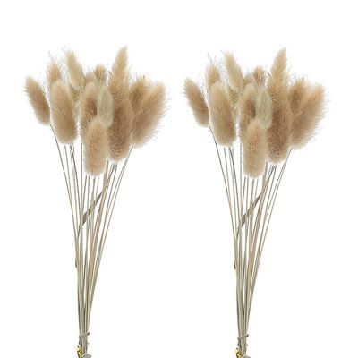 2 Bundles Dried Flowers Natural Rabbit Tail Bunny Tail Grass for Home Decor