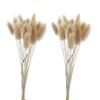 2 Bundles Dried Flowers Natural Rabbit Tail Bunny Tail Grass for Home Decor view 1