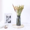 2 Bundles Dried Flowers Natural Rabbit Tail Bunny Tail Grass for Home Decor view 2