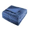 ALANSMA Reversible Weighted Blanket for All Season, Luxury Velvet, Warm and Cool, Adult 20Lb Blue Weighted Blanket, Enjoy Sleeping Anywhere(Blue,60"x80" 20lbs) view 2