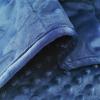 ALANSMA Reversible Weighted Blanket for All Season, Luxury Velvet, Warm and Cool, Adult 20Lb Blue Weighted Blanket, Enjoy Sleeping Anywhere(Blue,60"x80" 20lbs) view 3