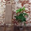 NEAFP Big Cable Knit Blanket view 2