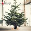 Tree Nest Large Christmas Tree Stand Base for Real Trees Nordic Style Christmas Tree Holder up to 10ft Trees Stable for Xmas Decoration Timber (Black) view 2