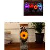 Amosfun Preserved Sunflower Eternal Bottle with Remote Control LED Night for Christmas New Year view 3