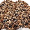BANBERRY DESIGNS Pinecones - Natural Brown Color - About 7500 Pieces (10 lbs.) of Assorted Sized Pine Cones - Fall and Christmas Bowl Filler - DIY Crafts - Unscented - 1/4" to 1" view 1