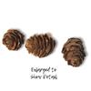 BANBERRY DESIGNS Pinecones - Natural Brown Color - About 7500 Pieces (10 lbs.) of Assorted Sized Pine Cones - Fall and Christmas Bowl Filler - DIY Crafts - Unscented - 1/4" to 1" view 3