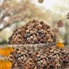 BANBERRY DESIGNS Pinecones - Natural Brown Color - About 7500 Pieces (10 lbs.) of Assorted Sized Pine Cones - Fall and Christmas Bowl Filler - DIY Crafts - Unscented - 1/4" to 1" view 4
