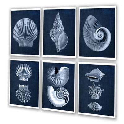 Gnosis Picture Archive Navy Blue Beach Decor Seashells Wall Art set of 6 Unframed Prints