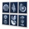 Gnosis Picture Archive Navy Blue Beach Decor Seashells Wall Art set of 6 Unframed Prints view 1