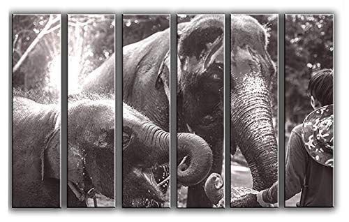 X-Large 6 Piece Elephants Vintage Photo Wall Art Decor Picture Painting Poster Print on Canvas Panels Pieces - Travel Theme Wall Decoration Set - Wilde Life Wall Picture for Living Room 44 by 67 in