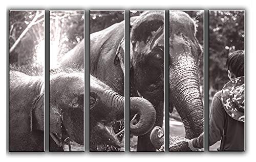 X-Large 6 Piece Elephants Vintage Photo Wall Art Decor Picture Painting Poster Print on Canvas Panels Pieces - Travel Theme Wall Decoration Set - Wilde Life Wall Picture for Living Room 44 by 67 in