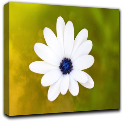 Be Happy Wall Art Decor Picture Painting Poster Print on Canvas Panels Pieces - Flowers Theme Wall Decoration Set - Flower Wall Picture for Living Room Bedroom 23 by 40 in