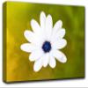 Be Happy Wall Art Decor Picture Painting Poster Print on Canvas Panels Pieces - Flowers Theme Wall Decoration Set - Flower Wall Picture for Living Room Bedroom 23 by 40 in view 1