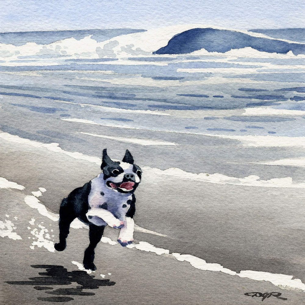Boston Terrier at The Beach Watercolor Art Print by Artist DJ Rogers/Oversized