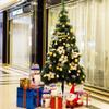 Artificial Christmas Tree Encrypted for Christmas Home Party Decortaion Xmas Tree view 4