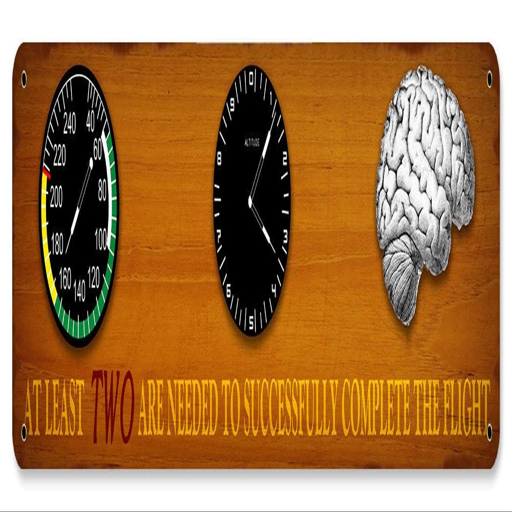 Altitude, Airspeed, and Brains 20X5