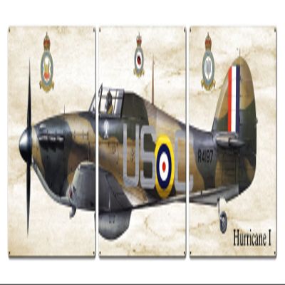ArtFuzz Hurricane I 48X14