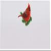 Northern Cardinal Winter and Holiday Place Cards, Set of 60, Pre-cut and Scored - Wedding, Party, Dinner, and Special Events - Made in the USA view 3