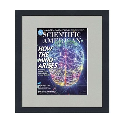 CountryArtHouse Scientific American Magazine Solid Wood Frame - Complete with Acrylic, Backing, and Grey Mat - Display Magazines Sized 8"x11"