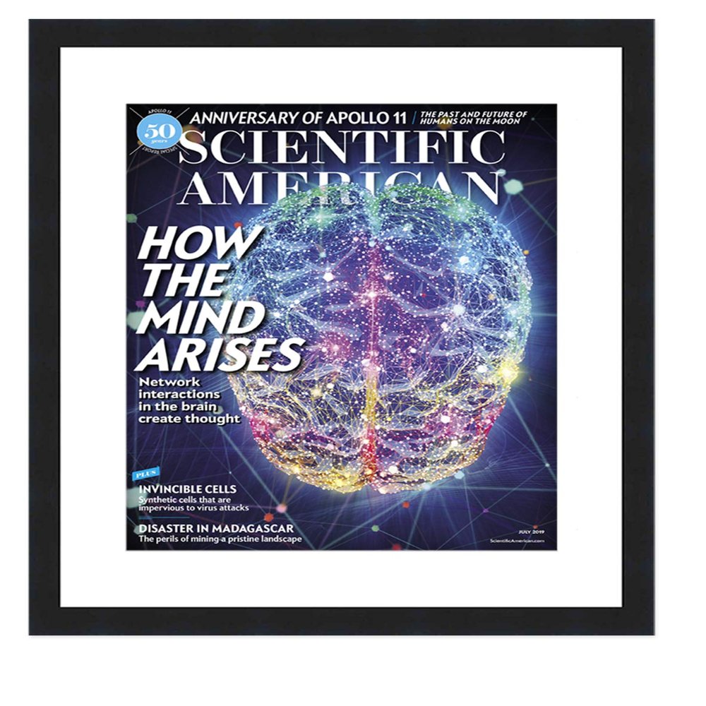 CountryArtHouse Scientific American Magazine Solid Wood Frame - Complete with Acrylic, Backing, and White Mat - Display Magazines Sized 8"x11"