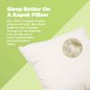 Bean Products Euro Size Premium Kapok Pillow - Breathable, Eco-Friendly and Durable Organic Cotton Fabric Neck Pillow - Soft and Supportive for Neck Support and Comfort - Made in The USA, 18" x 18" view 2