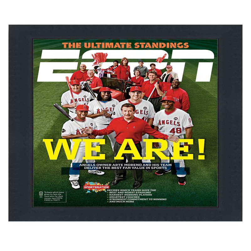 CountryArtHouse ESPN Magazine Display Solid Wood Frame - Complete with Acrylic, Backing, and Hardware - Fits Any Magazine Measuring 10" x 12"