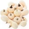 Factory Direct Craft Package of 24 Pieces Faux Baby Boo Pumpkins and Gourds Assortment for Holiday Decorations and Crafting view 1