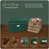 Covermates Keepsakes Adjustable Ornament Storage Box  Heavy-Duty Polyester, Padded Dividers & FlexGrid Trays  Protective Holiday Organizer with Stackable Walls & Label Window, Green view 4