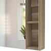 Tuhome Labelle Medicine Cabinet with Mirrored Single Door, Five Internal Shelves, Open Display Storage and Modern Wall-Mounted Design for Organized, Accessible and Stylish Bathroom Essentials. view 1