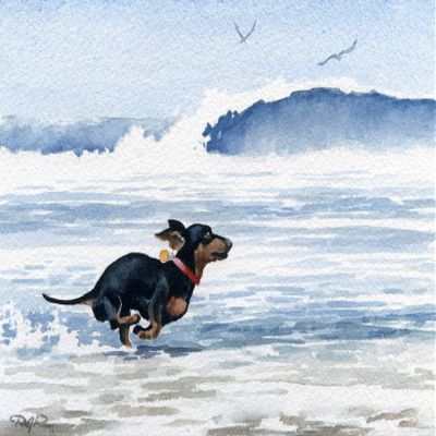 Dachshund Running at the Beach Watercolor Art Print by Artist DJ Rogers/Oversized