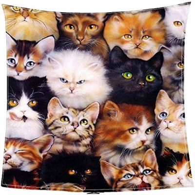 3D Cat Coral Fleece Throw Blanket, Lightweight Cozy Bed Couch Blanket, Super Soft Throw Blanket Custom Design (Size : 150200cm-5978.7inch)