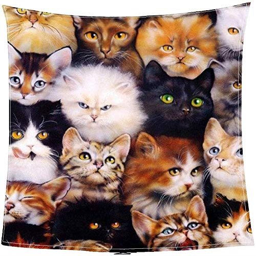 3D Cat Coral Fleece Throw Blanket, Lightweight Cozy Bed Couch Blanket, Super Soft Throw Blanket Custom Design (Size : 150200cm-5978.7inch)