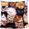3D Cat Coral Fleece Throw Blanket, Lightweight Cozy Bed Couch Blanket, Super Soft Throw Blanket Custom Design (Size : 150200cm-5978.7inch) view 1