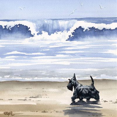 Black Scottish Terrier at the Beach Watercolor Art Print by Artist DJ Rogers/Oversized