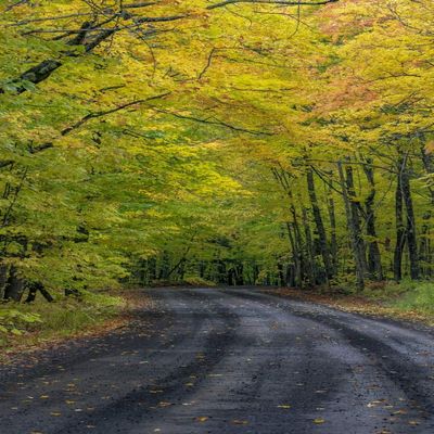 Posterazzi PDDUS23CHA0305LARGE Covered Road Near Houghton in The Upper Peninsula of Michigan, USA Photo Print, 24 x 36, Multi