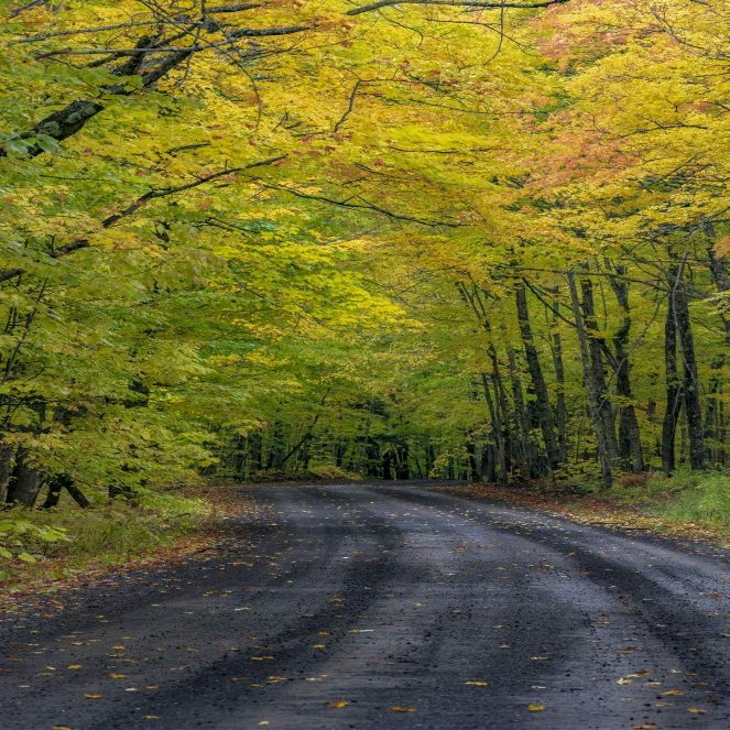 Posterazzi PDDUS23CHA0305LARGE Covered Road Near Houghton in The Upper Peninsula of Michigan, USA Photo Print, 24 x 36, Multi