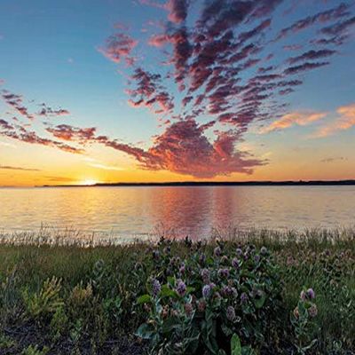 Posterazzi PDDUS27CHA4320LARGE Vivid Sunrise Clouds Reservoir and Milkweed in The Charles M Russell National Wildlife Refuge Near Fort Peck, Montana, USA Photo Print, 36 x 24, Multi