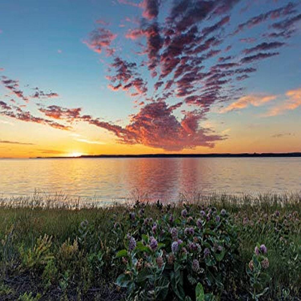 Posterazzi PDDUS27CHA4320LARGE Vivid Sunrise Clouds Reservoir and Milkweed in The Charles M Russell National Wildlife Refuge Near Fort Peck, Montana, USA Photo Print, 36 x 24, Multi