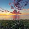 Posterazzi PDDUS27CHA4320LARGE Vivid Sunrise Clouds Reservoir and Milkweed in The Charles M Russell National Wildlife Refuge Near Fort Peck, Montana, USA Photo Print, 36 x 24, Multi view 1