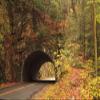 Posterazzi PDDUS43JWL0196 USA, Tennesse. Tunnel Along The Road to Cades Cove in The Fall Photo Print, 18 x 24, Multi view 1