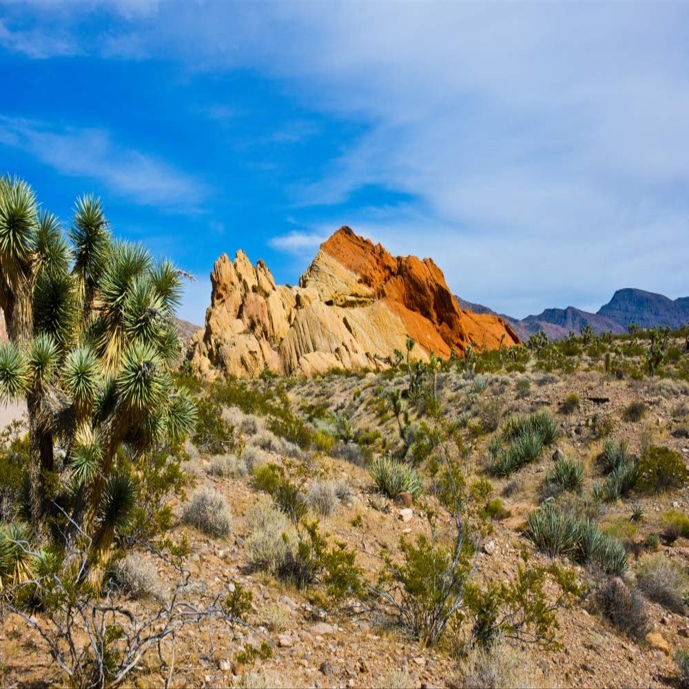 Posterazzi PDDUS29BFR0169LARGE USA, Nevada, Mesquite. Gold Butte National Monument, Whitney Pocket Photo Print, 24 x 36, Multi