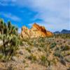 Posterazzi PDDUS29BFR0169LARGE USA, Nevada, Mesquite. Gold Butte National Monument, Whitney Pocket Photo Print, 24 x 36, Multi view 1