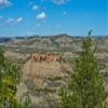 Posterazzi PDDUS35BFR0006LARGE USA, North Dakota, Medora. Theodore Roosevelt National Park, South Unit, Painted Canyon Overlook Photo Print, 24 x 36, Multi view 1