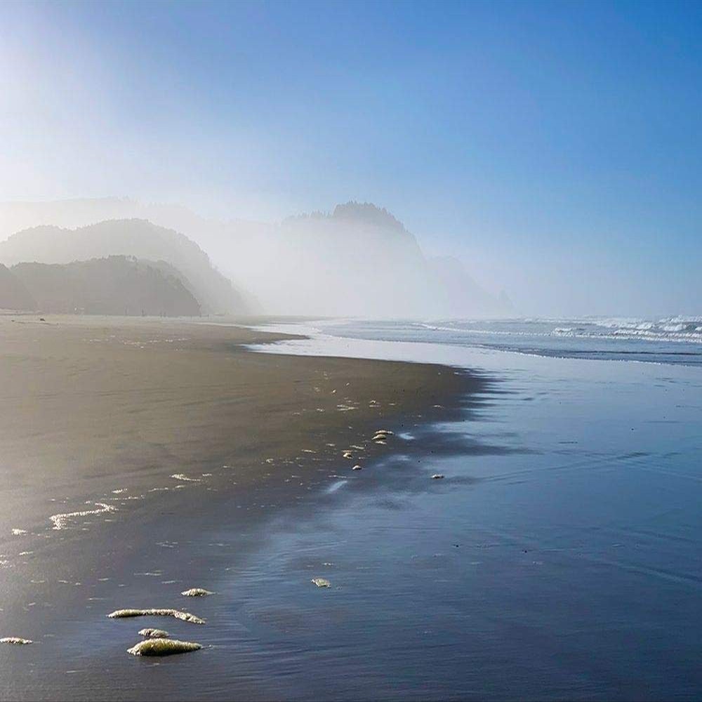 Posterazzi PDXMJMCOA00017LARGE Foggy Beach II Photo Print, 36 x 24, Multi